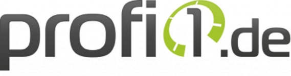 Logo Profi1.de groß